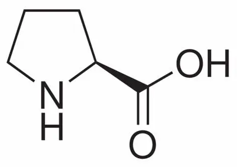 L-Proline powder