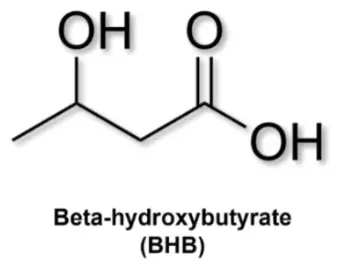  Beta-Hydroxybutyrate powder 