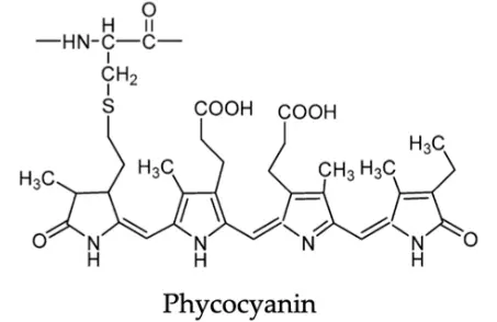 Phycocyanin Powder