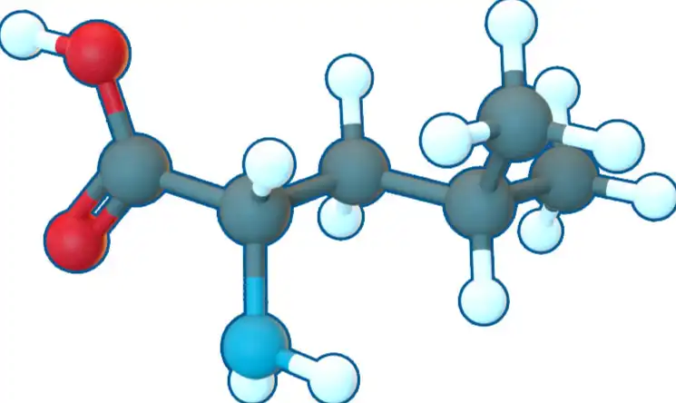 L-leucine powder