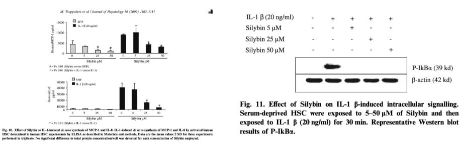 Silybin Powder