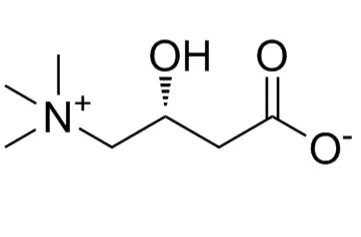 Pure L-carnitine Powde