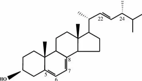 Ergosterol Powder