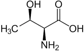 L-threonine Powder 