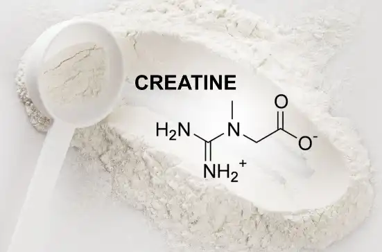 Bulk Creatine Powder