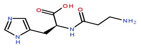 Carnosine powder