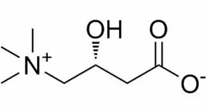 Pure L-Carnitine Powder