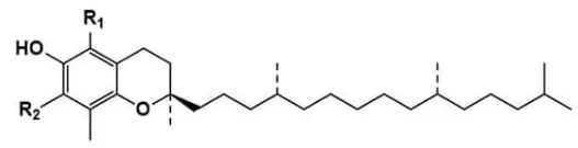 Tocotrienols powder