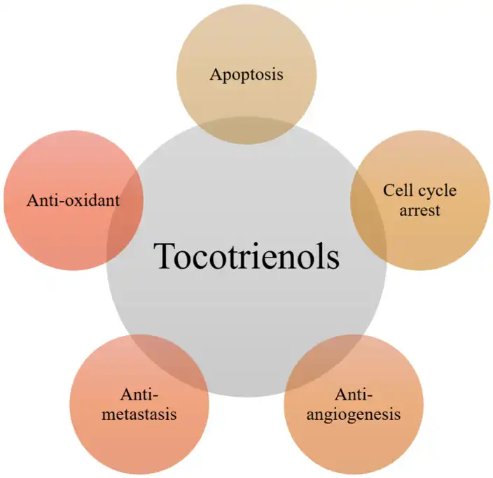 Tocotrienols powder