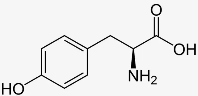 L-Tyrosine