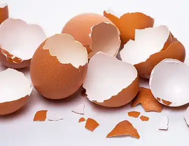 Eggshell Membrane Extract