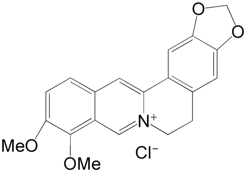 Berberine Hydrochloride Powder