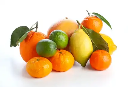 Citrus Flavonoids