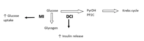 D Chiro Inositol Powder D Chiro Inositol Powder