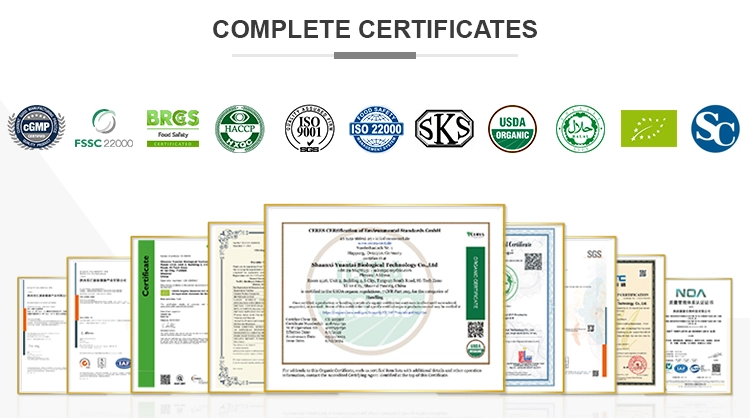 Elderberry Extract Powder Elderberry Extract Powder