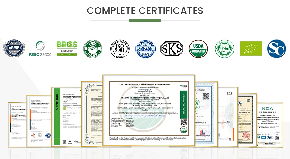 Snail Protein Powder Snail Protein Powder