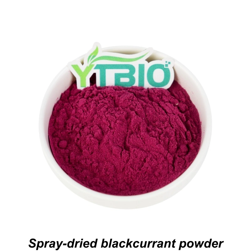 Black Currant Fruit Powder Black Currant Fruit Powder