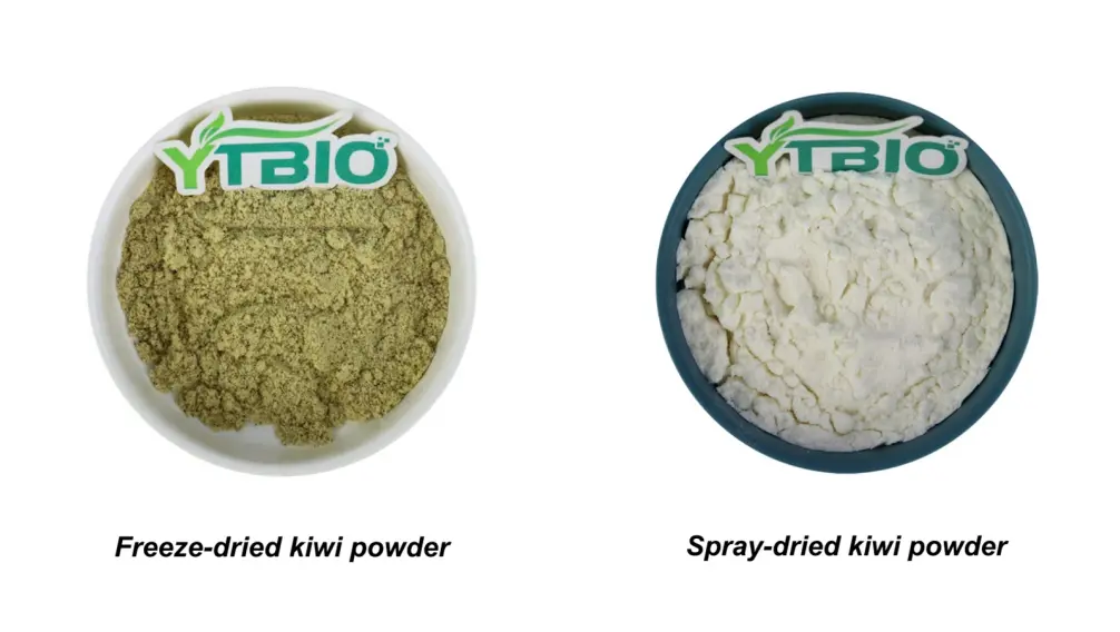 Bulk Kiwi Powder Bulk Kiwi Powder