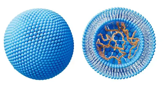 Liposome technology Liposome technology