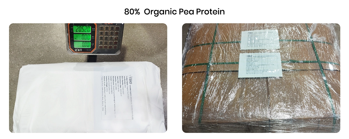 Shipping Packaging Shipping Packaging