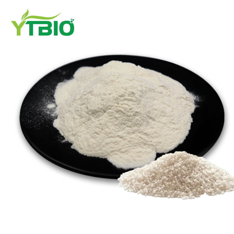 Organic Rice Protein Bulk