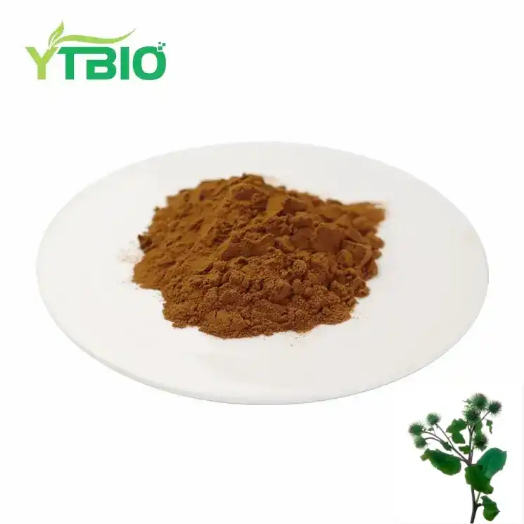 Burdock Root Extract Powder