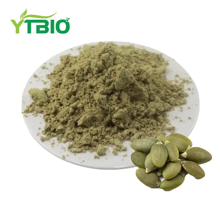 Organic Pumpkin Seed Protein