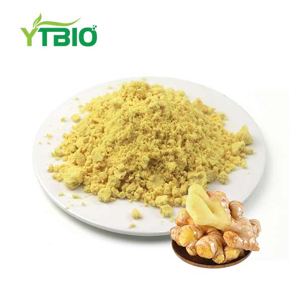 Organic Ginger Powder Bulk