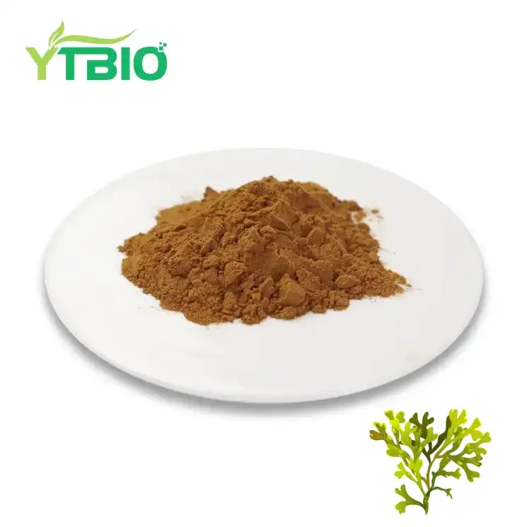 Bladderwrack Extract Powder