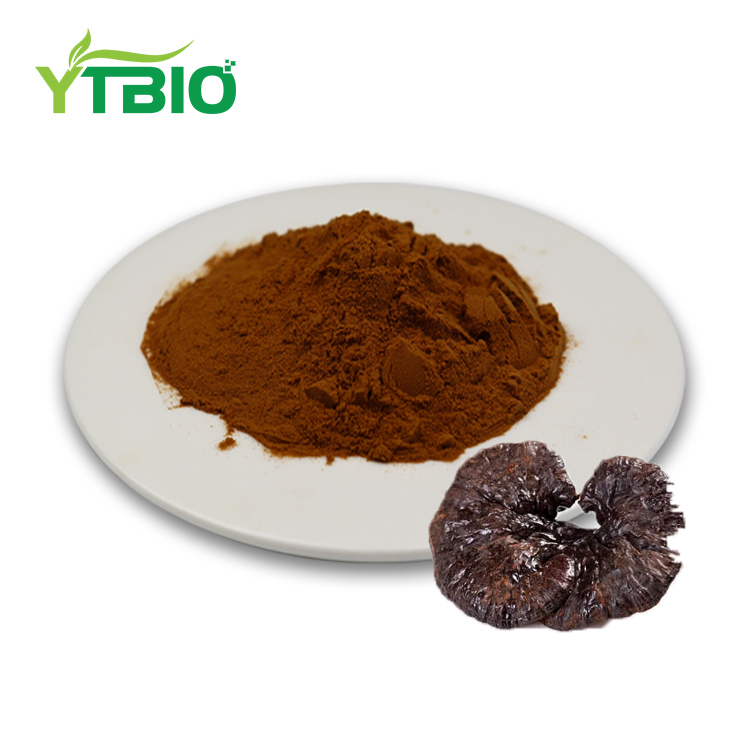 Organic Reishi Extract Powder