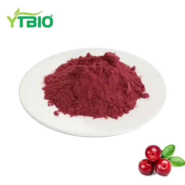 Bulk Cranberry Extract Powder