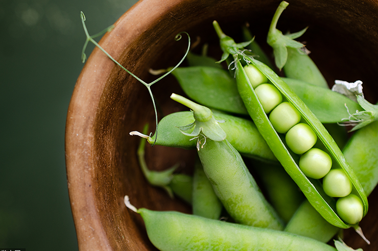 Organic Plant Protein Organic Plant Protein