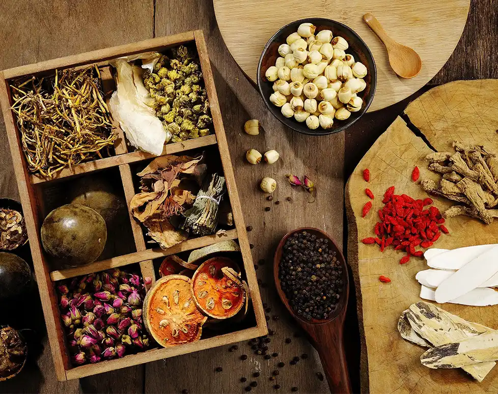 Plant Extract.jpg Plant Extract.jpg